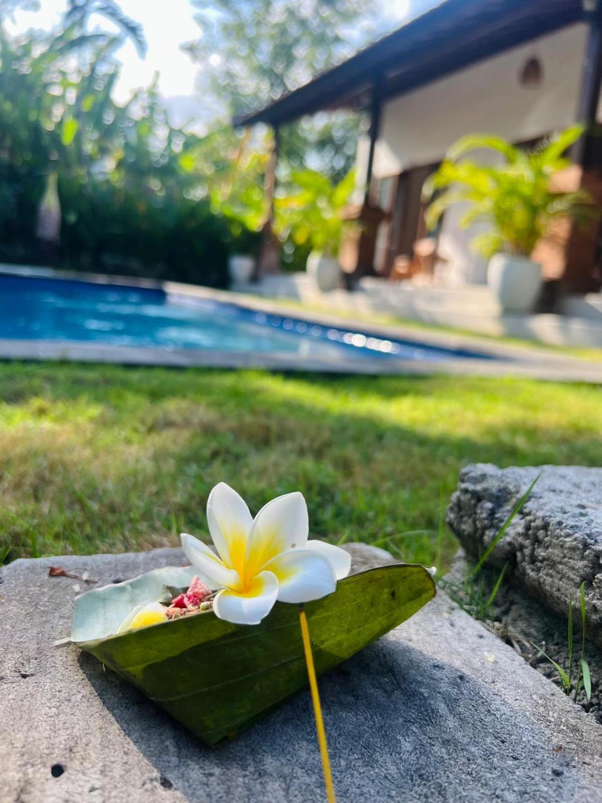 Wiryaroja Guest House Canggu  Luaran gambar